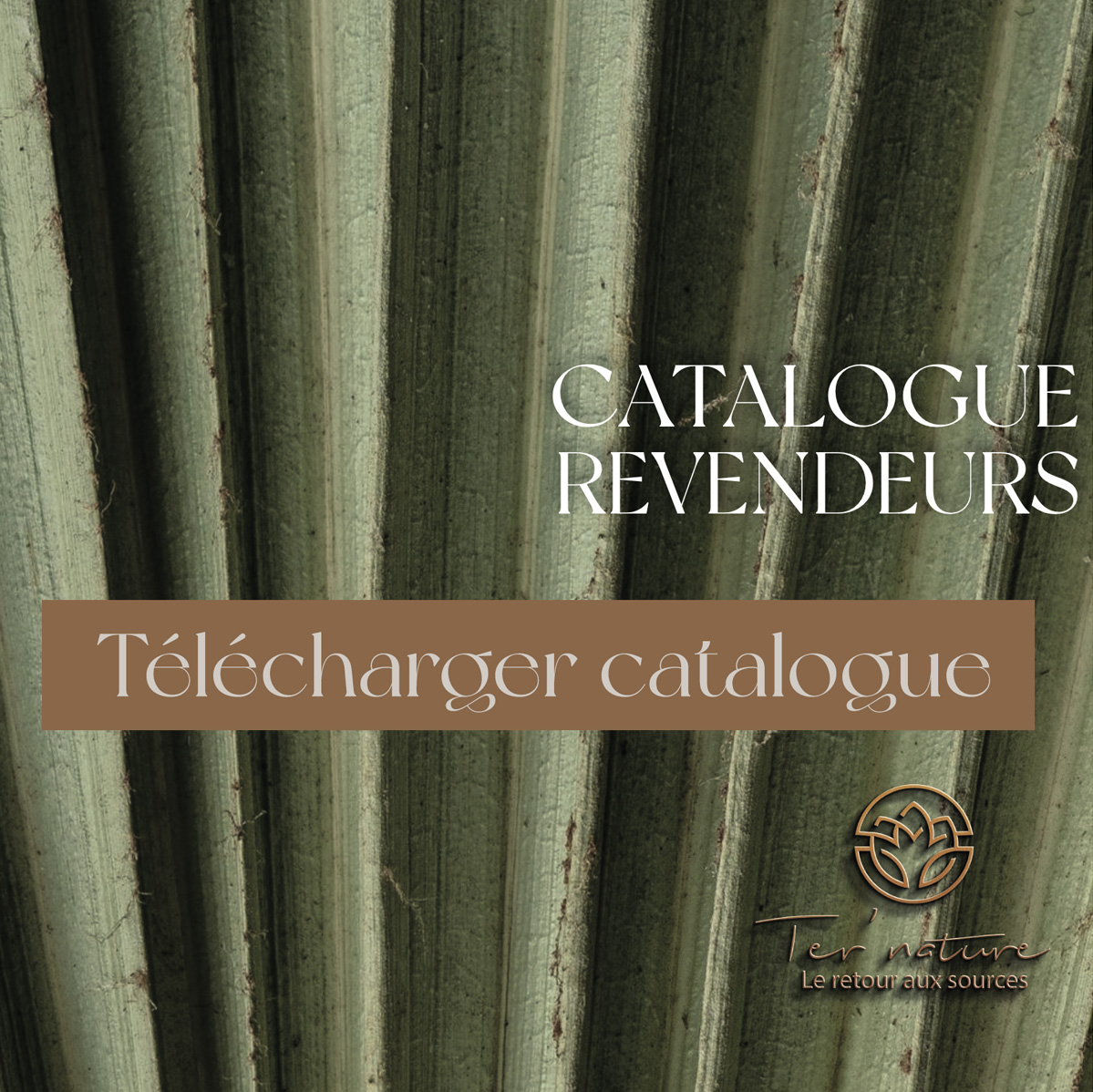 Catalogue Revendeurs