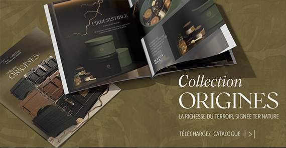 Catalogue 2026